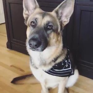 Meet your Posher, Trinity